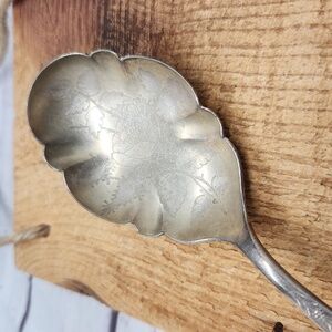 Rare Antique Reed Barton Rose Etched Silver Plated Serving Spoon‎